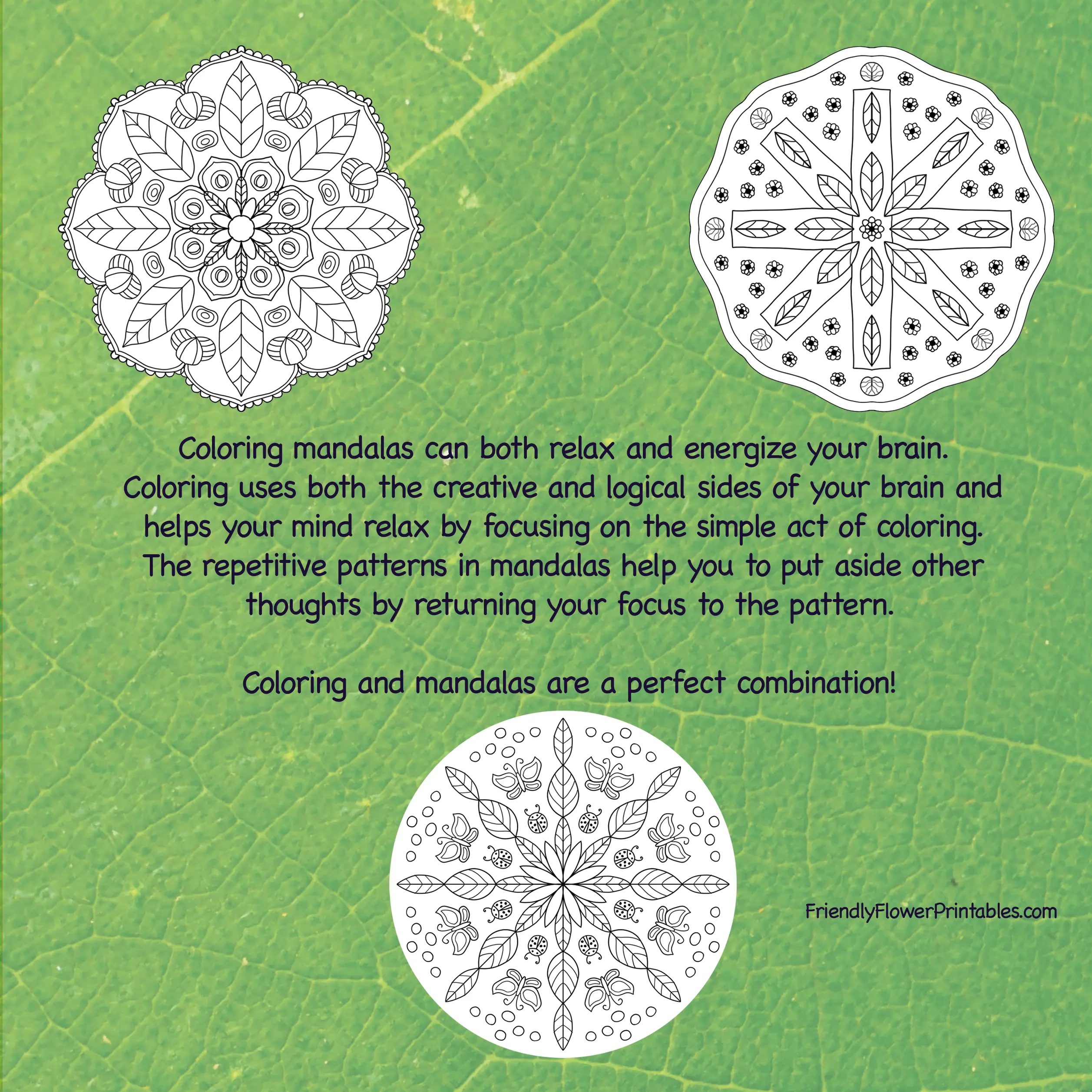 Mandala Garden back cover